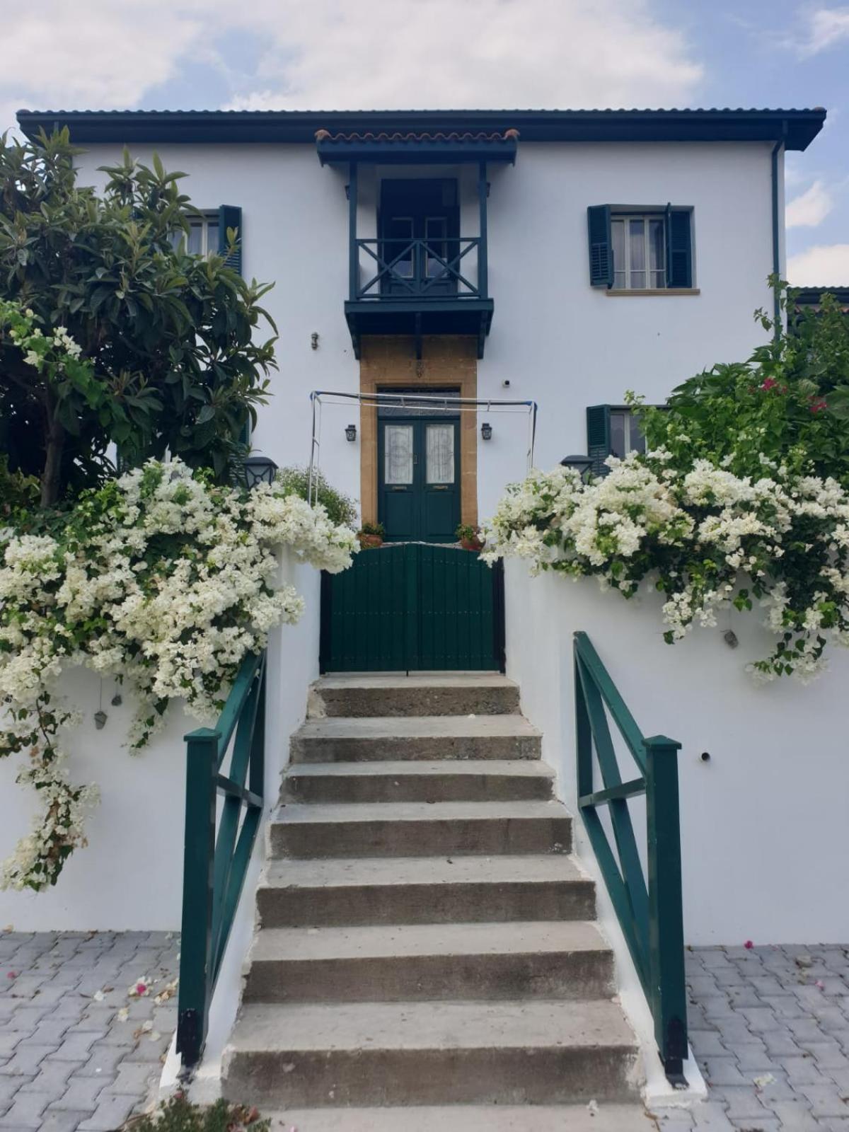Dervise Mehmet Guest House Lefka  المظهر الخارجي الصورة