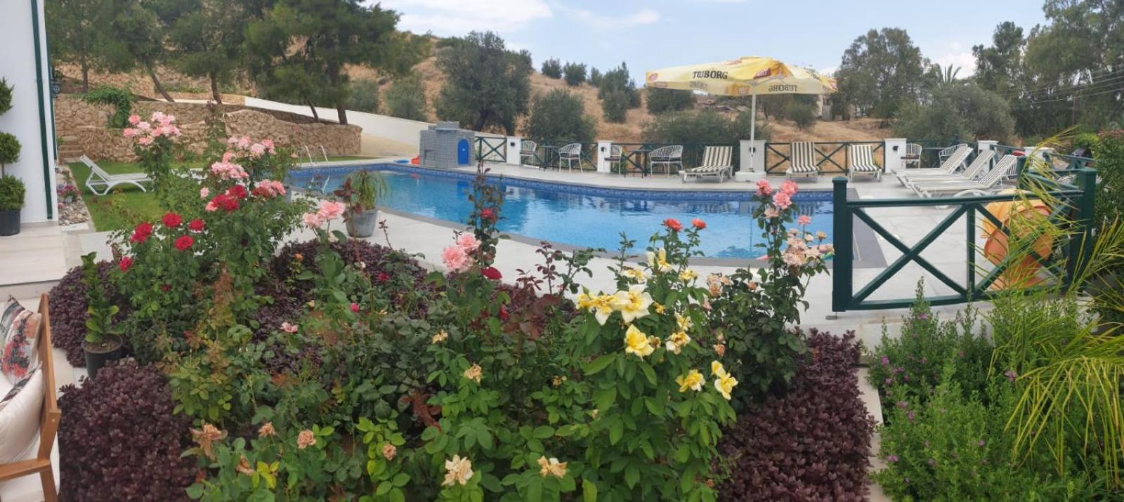 Dervise Mehmet Guest House Lefka  المظهر الخارجي الصورة