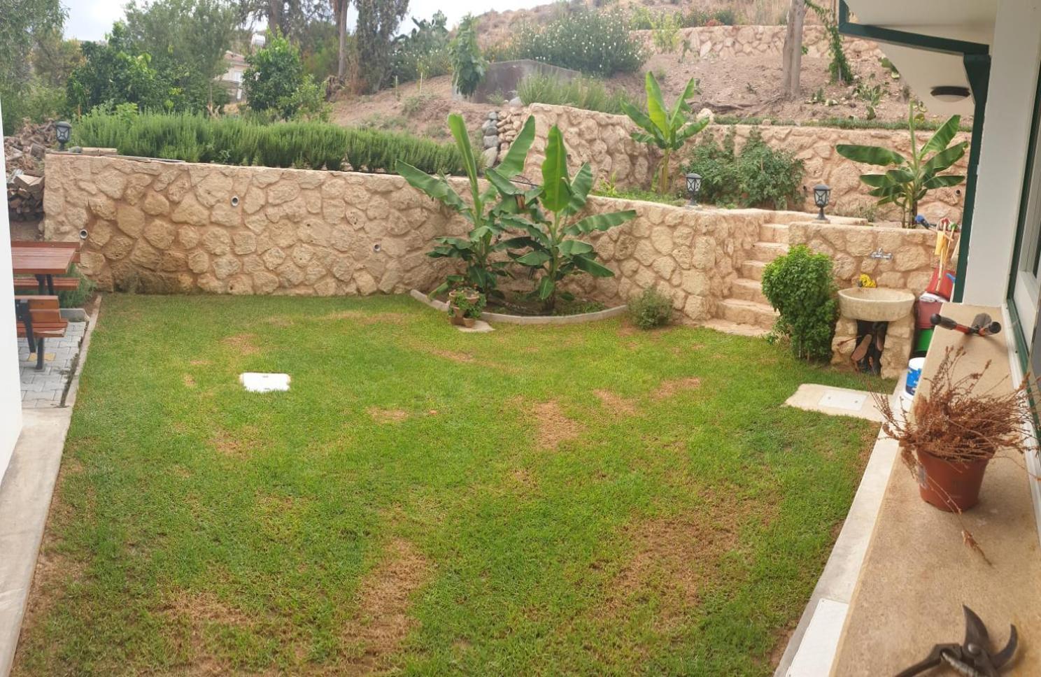 Dervise Mehmet Guest House Lefka  المظهر الخارجي الصورة